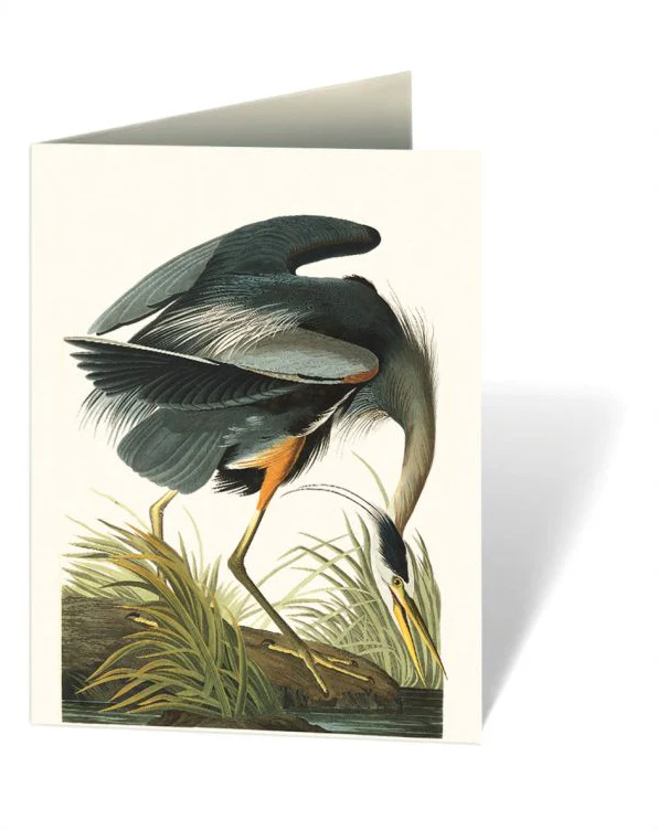 AUDUBON'S BIRDS OF AMERICA - BOXED NOTECARDS - Image 3
