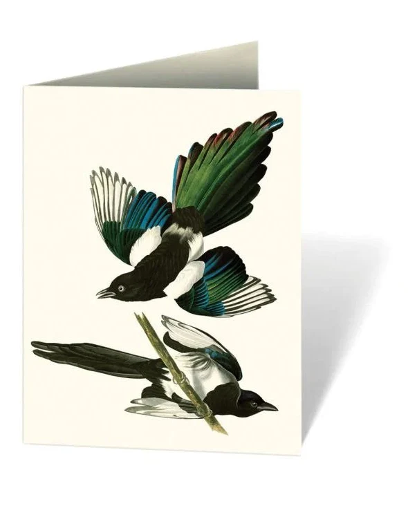 AUDUBON'S BIRDS OF AMERICA - BOXED NOTECARDS - Image 4