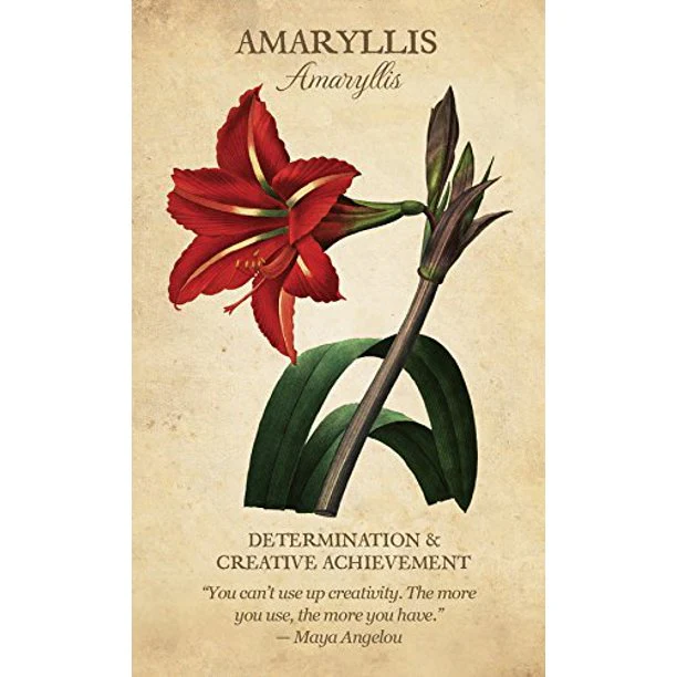 BOTANICAL INSPIRATION CARDS - Image 3