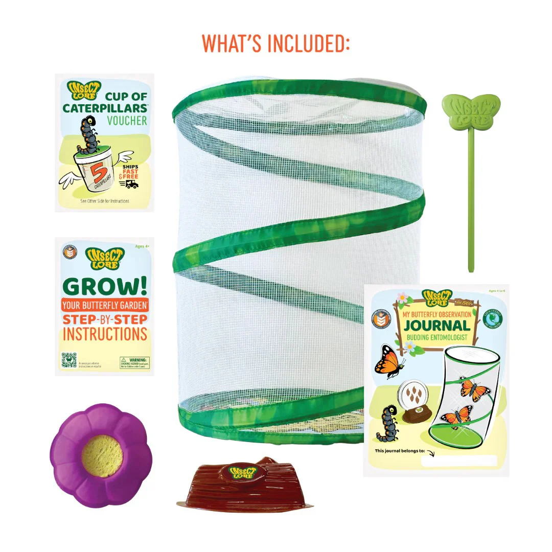 BUTTERFLY GARDEN LIFE CYCLE KIT - Image 3