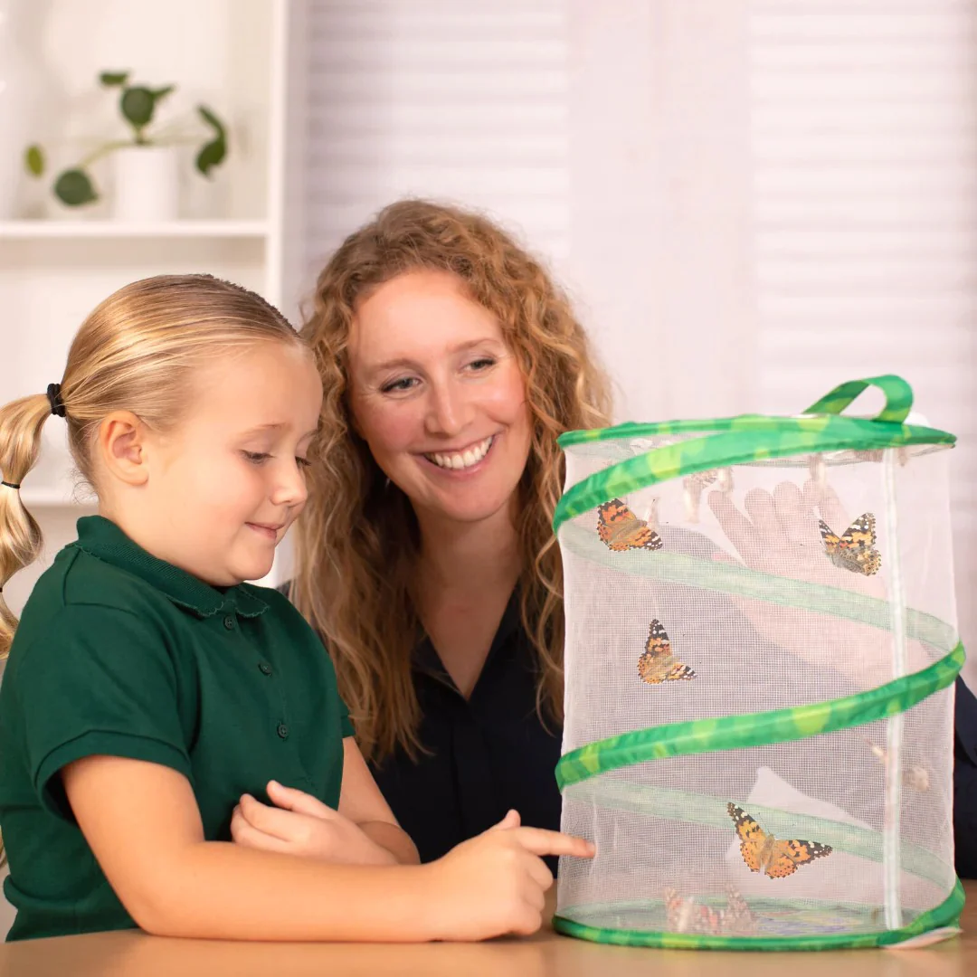 BUTTERFLY GARDEN LIFE CYCLE KIT - Image 4