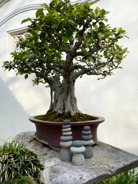 MINI CAIRNS - Image 4