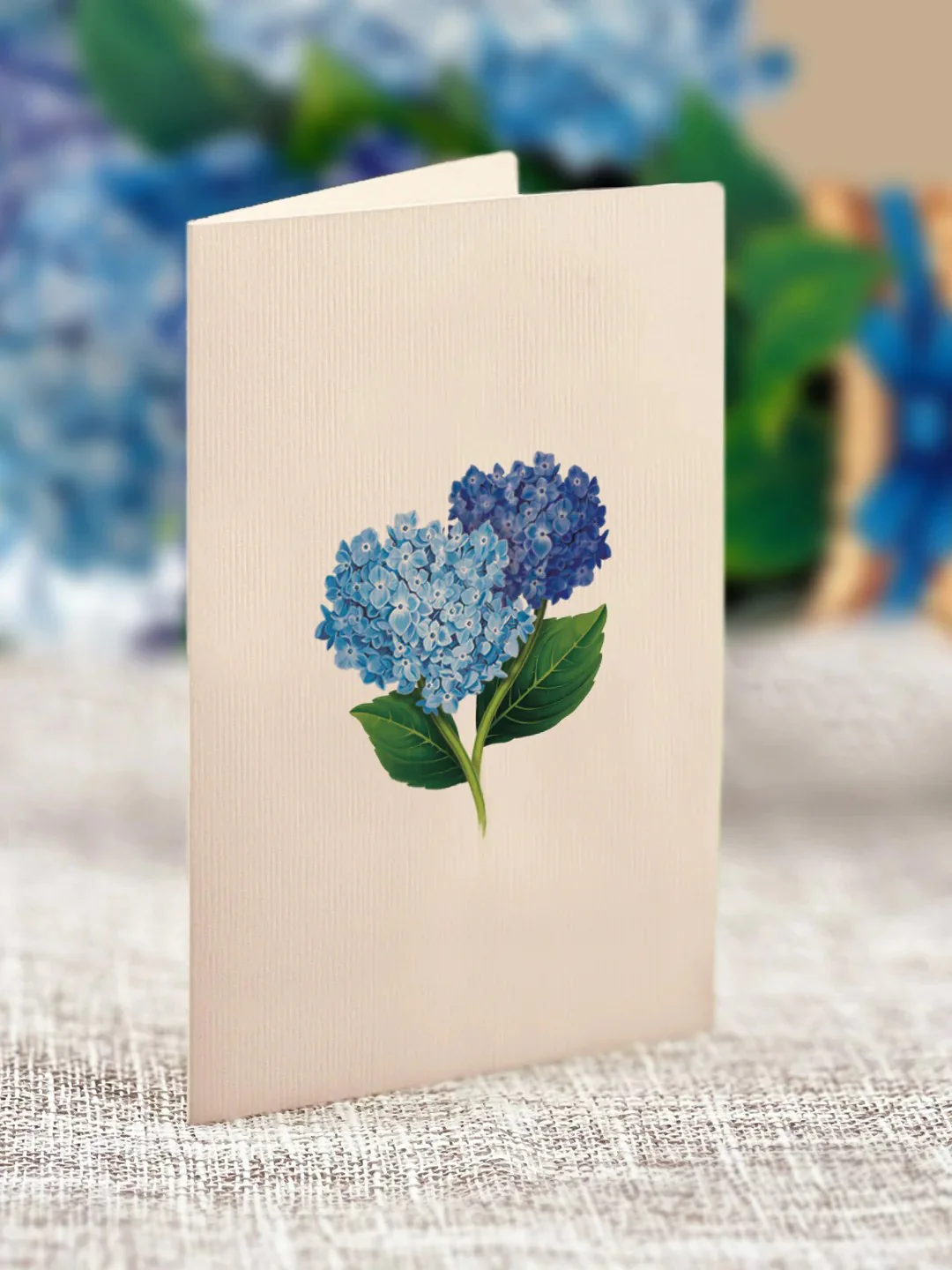 NANTUCKET HYDRANGEAS MINI POP-UP BOUQUET - Image 4