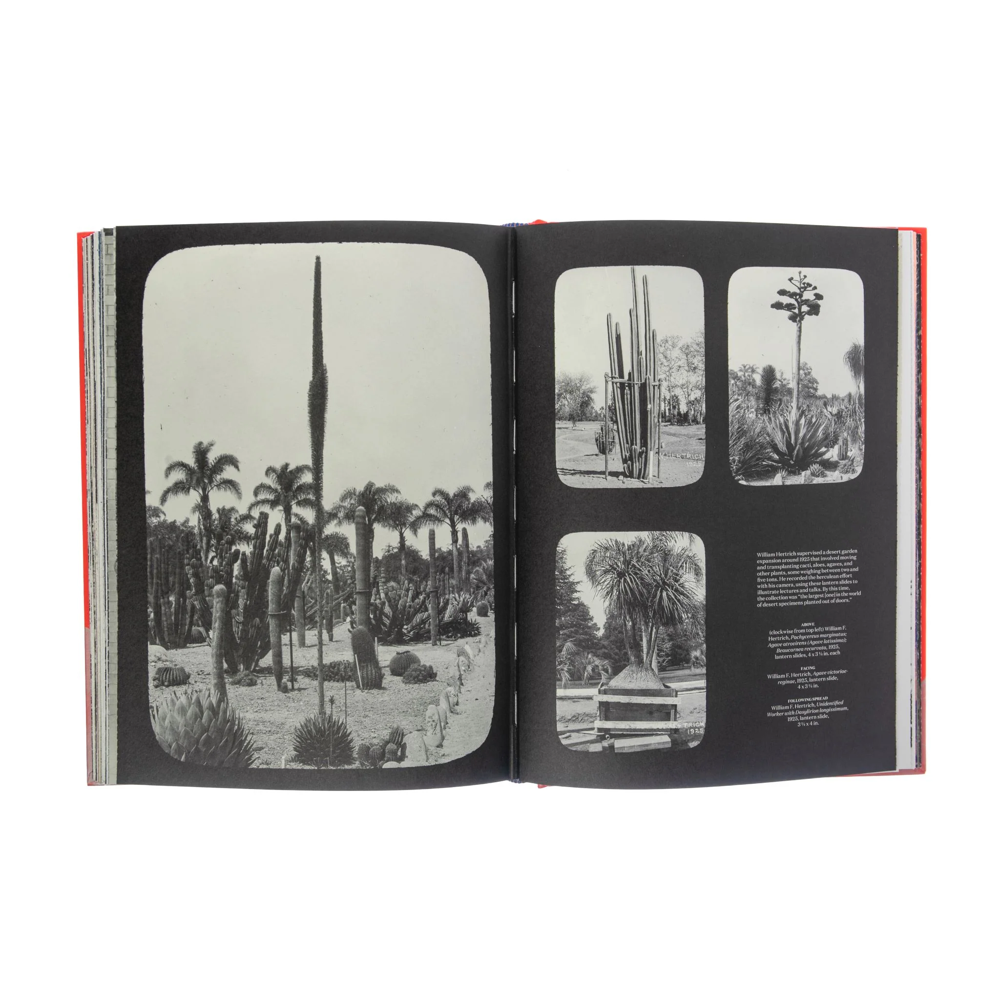 NINETEEN NINETEEN - Image 8