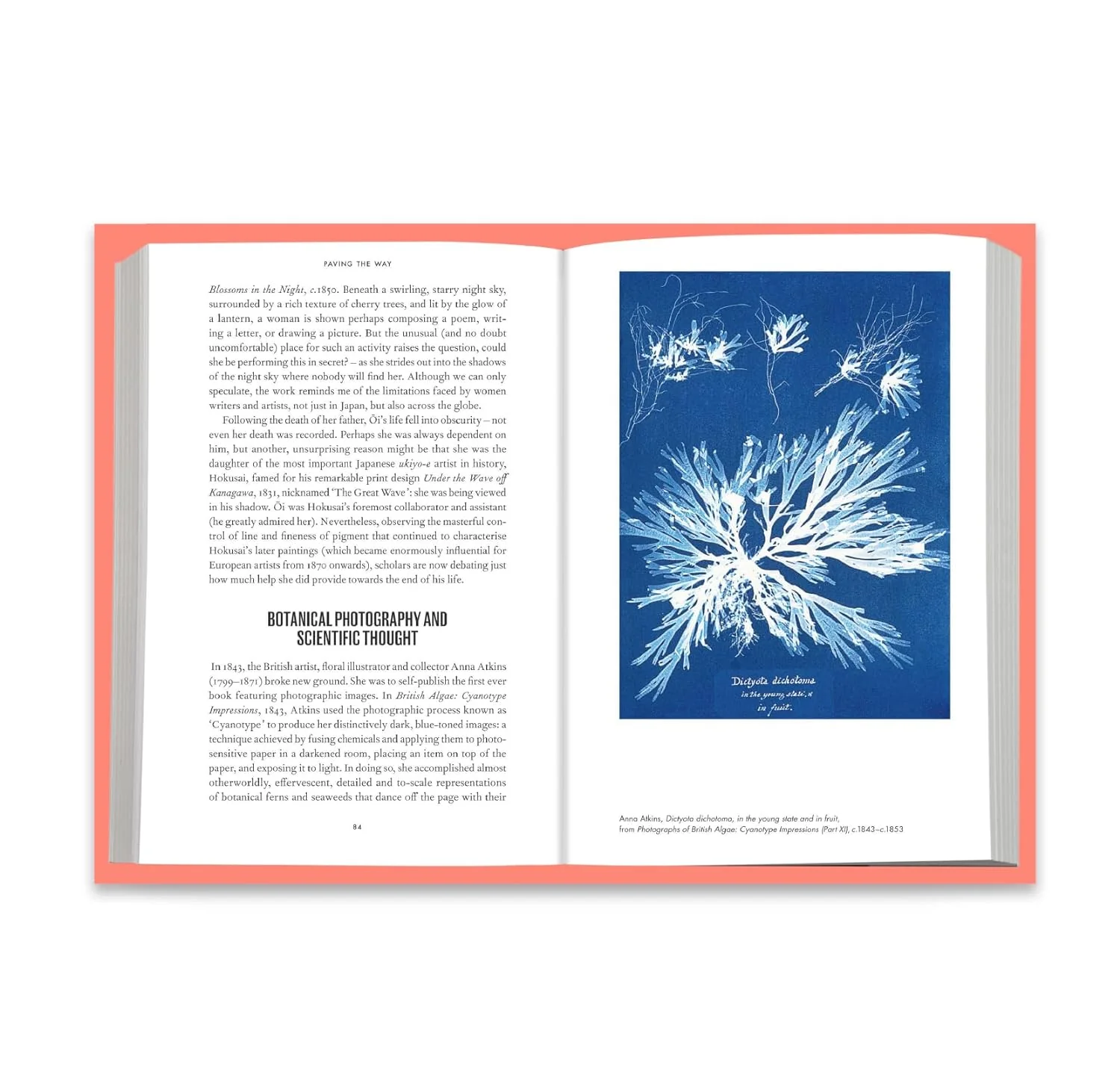 THE STORY OF ART WITHOUT MEN - Image 3